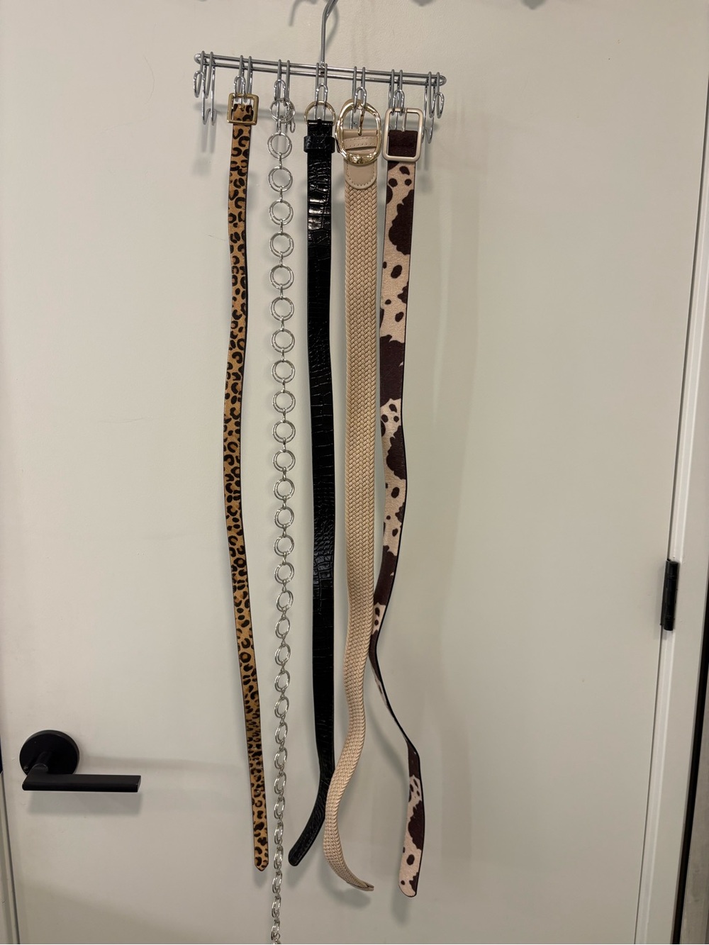 Set of Fashion Belts in Leopard, Black, Cream, Cow Print